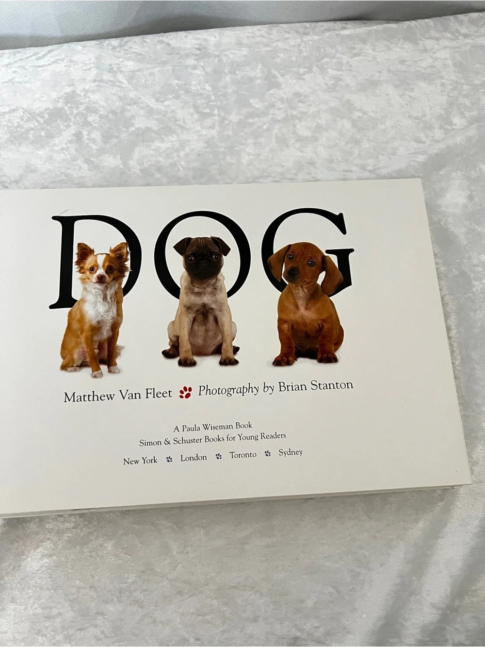 Dog Book by Matthew Van Fleet Doggone Fun for Little Ones kids